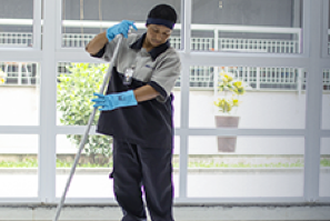 Limpeza Profissional